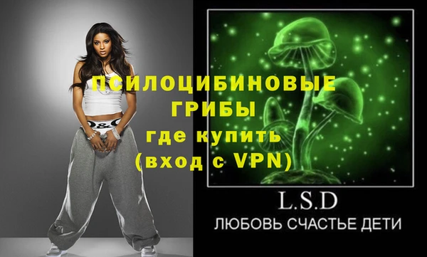 бошки Богородицк