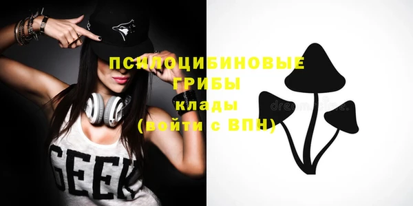 бошки Богородицк
